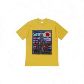 Picture of Supreme T Shirts Short _SKUSupremeS-2XLthtxS401274